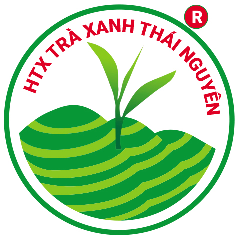 logo_htx_tra_xanh_thai_nguyen