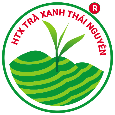 Giới thiệu