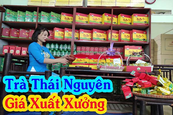Những điều thú vị về Trà đinh Thái Nguyên chỉ trong 3 bước đơn giản