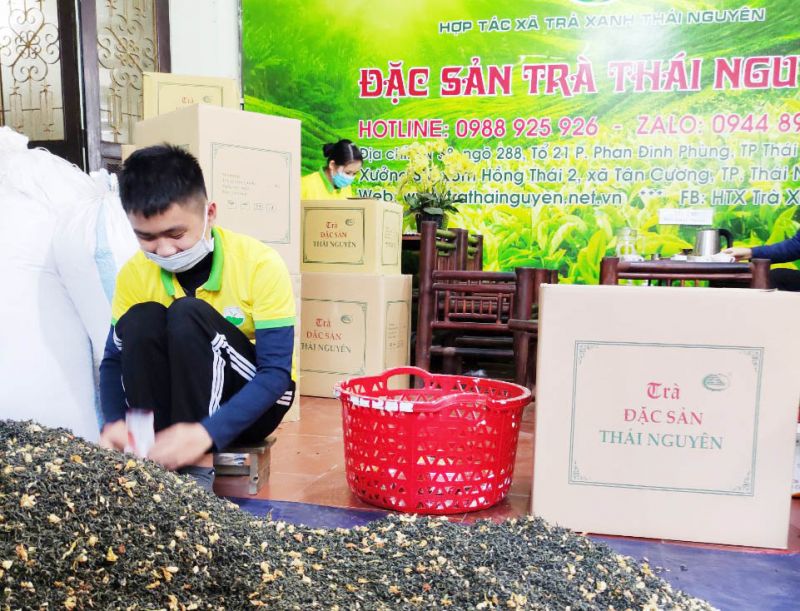 TOP 18 Chè Thái Nguyên ở tại Lào Cai ngon nhất