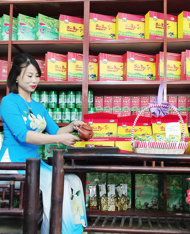 7 Bí Mật Làm Nên Hương Vị Trà Thái Nguyên Ngon Nức Tiếng