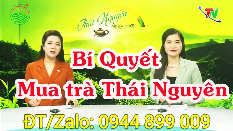 Chè xanh Thái Nguyên ngon, giá hợp lý nhất