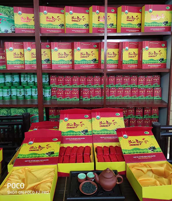 Chè Đinh Thái Nguyên Tại Sao Đắt? Bật Mí Nguyên Nhân Từ Chuyên Gia