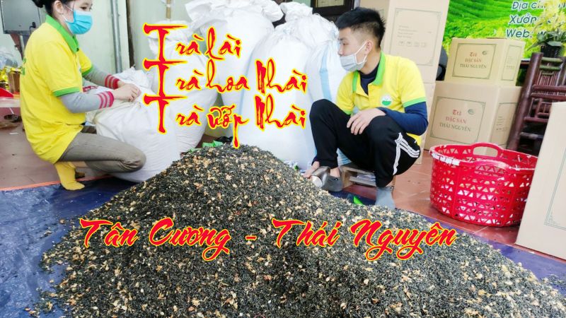 Trà lài Thái Nguyên - Thức uống tuyệt hảo số 1