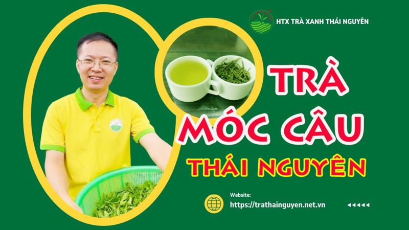 Người dân có truyền thống nào trong việc chế biến Trà Móc Câu?