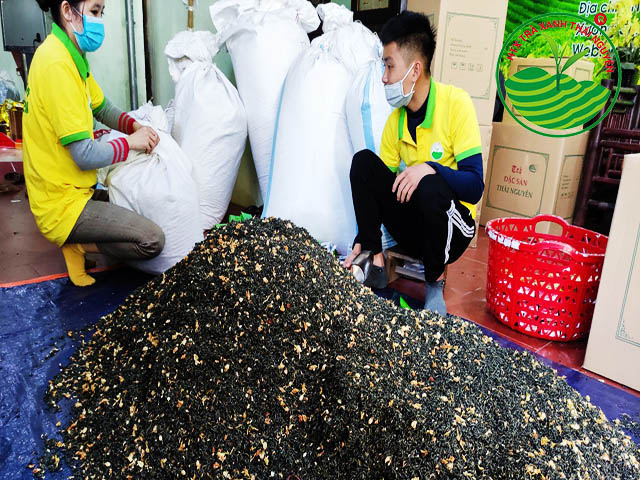 Trà lài Thái Nguyên có giá bao nhiêu?