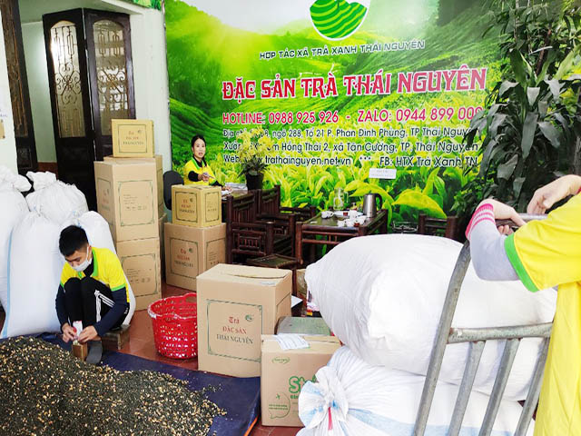 10 Tác Dụng Tuyệt Vời Của Trà Lài Thái Nguyên Đối Với Sức Khỏe