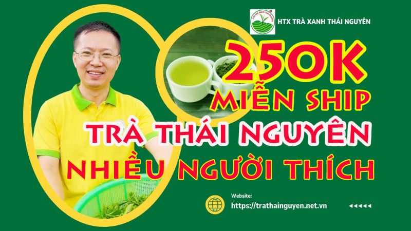 Đánh giá chất lượng chè Tân Cương Thái Nguyên: 7 tiêu chí chuẩn