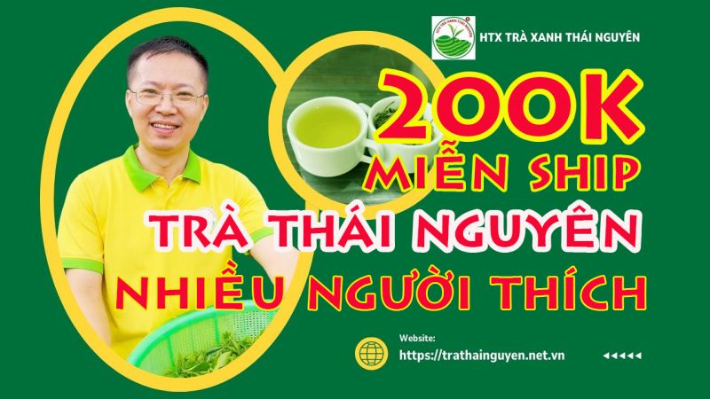 Top 10 Lý Do Chè Tân Cương Thái Nguyên Được Đánh Giá Là Loại Ngon