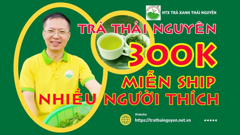 Màu sắc chè Tân Cương Thái Nguyên: 6 Đặc điểm nhận biết