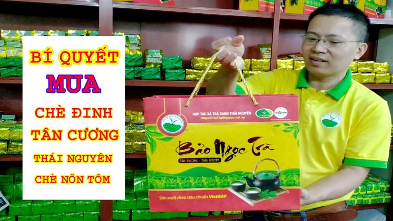 10 Tác Dụng Chè Tân Cương Thái Nguyên Giúp Tăng Năng Lượng Hiệu Quả