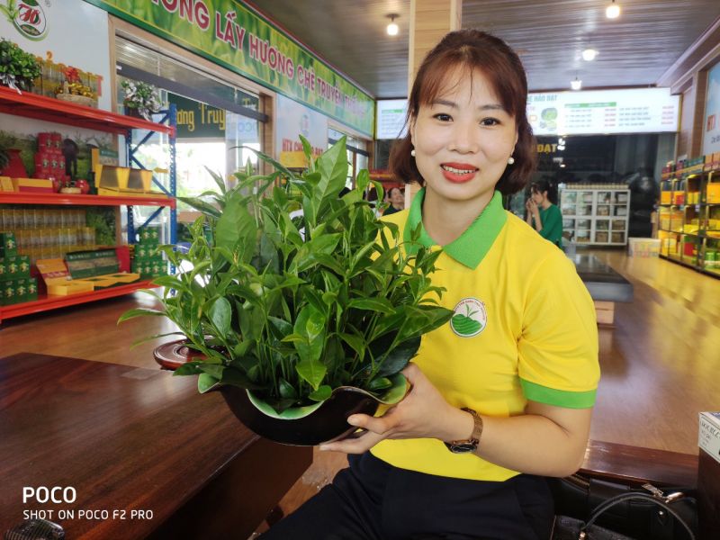 Những biện pháp bảo quản trà Nõn Tôm để đảm bảo chất lượng?