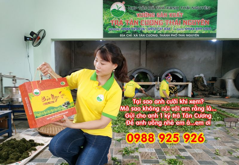 7 Công Dụng Của Trà Tân Cương Thái Nguyên Giảm Stress