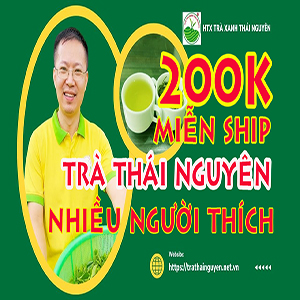 Giá trà xanh Tân Cương Thái Nguyên 500g: Bảng giá chi tiết 2024