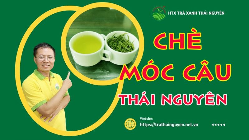 Top 12 Công Dụng Tuyệt Vời Của Chè Thái Nguyên bạn có biết?