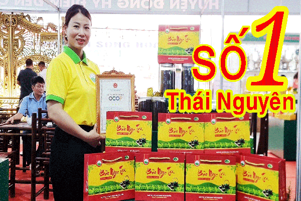 10+ Tác Dụng Tuyệt Vời Của Trà Tân Cương Thái Nguyên