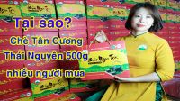Giá Trà Thái Nguyên Loại Đặc Biệt: 9 Yếu Tố Quyết Định