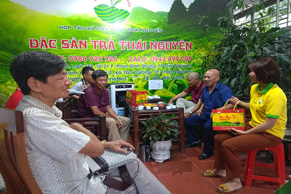 Lịch sử Trà Thái Nguyên - Vùng Trà Xanh Nổi Tiếng Bậc Nhất Việt Nam