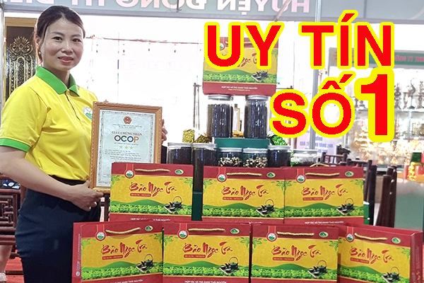 Cách bảo quản Trà Thái Nguyên luôn thơm ngon, đúng chuẩn tại nhà