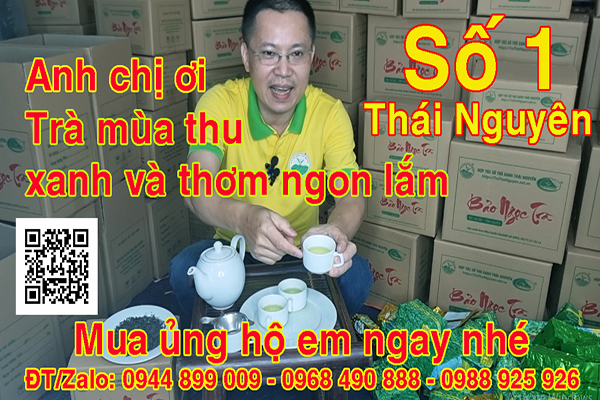 Chè móc câu Tân Cương: 7 cách chọn trà ngon, chuẩn vị