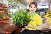 Chè Tân Cương Thái Nguyên 500g: Quà Biếu Tết Sang Trọng, Chất Lượng Vượt Trội