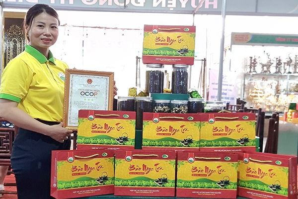 [TOP 5+] Vùng Trồng Chè Tân Cương Thái Nguyên Nổi Tiếng