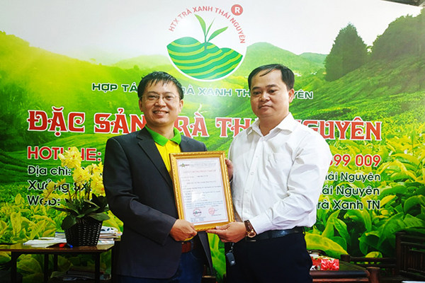 [TOP 5+] Trà Tân Cương Thái Nguyên Chính Gốc: Bí Quyết Chọn Mua