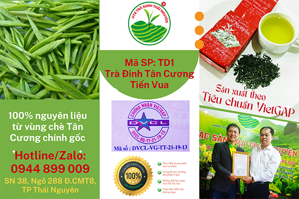 10 Bí Mật Về Trà Đinh Thái Nguyên: Tại Sao Bạn Phải Thử?