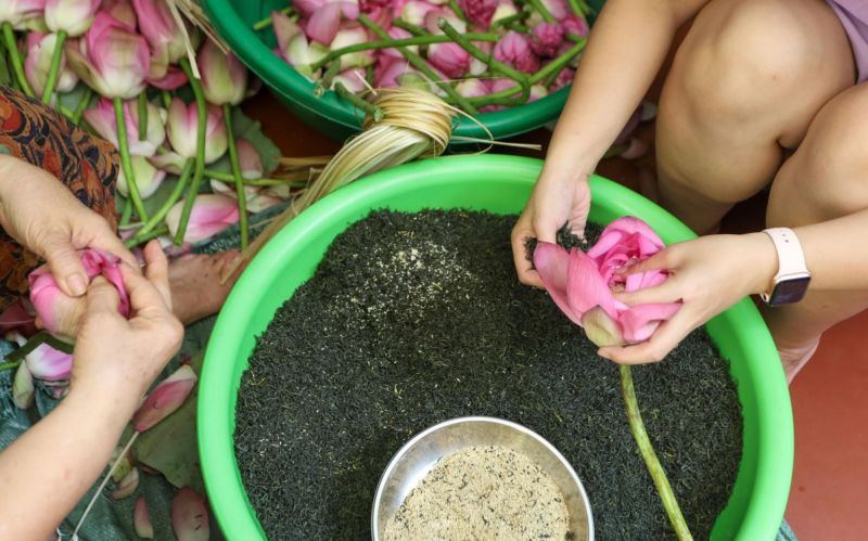 Làm chè ướp bông sen tại nhà – Đơn giản mà tinh tế cùng Bảo Ngọc Trà