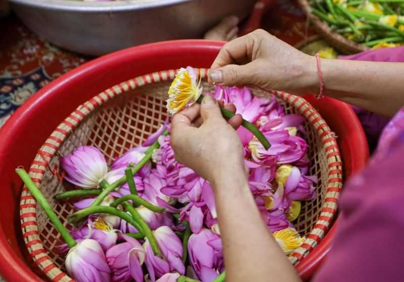 Trà ướp sen là gì? Hé lộ bí mật về loại trà đắt giá bậc nhất