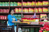 Lộ Bí Quyết Uống Trà Đinh Thái Nguyên Giúp Giảm Căng Thẳng Hiệu Quả