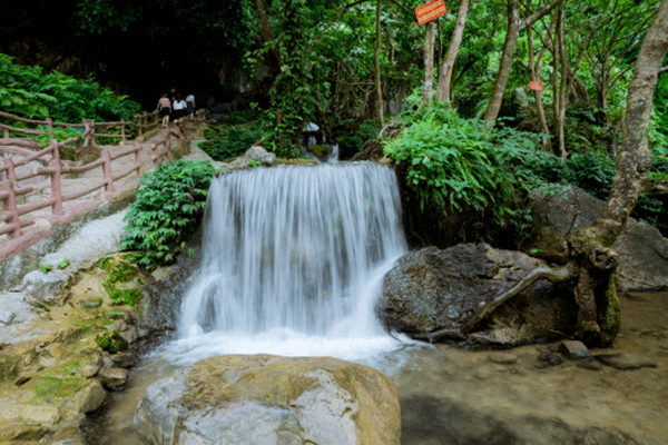 Sự hấp dẫn của Hang Phượng Hoàng