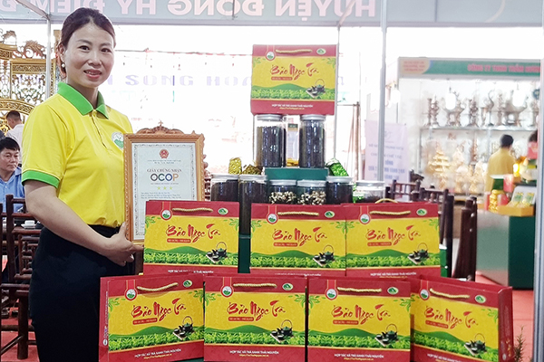 Tại sao nên mua trà xanh Thái Nguyên thượng hạng?