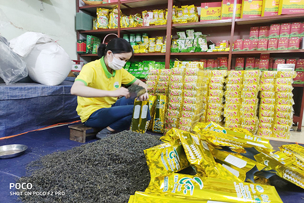 Cách pha trà Tân Cương Thái Nguyên chuẩn nhất