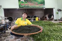 Ở đâu có trà bắc Thái Nguyên chất lượng cao?
