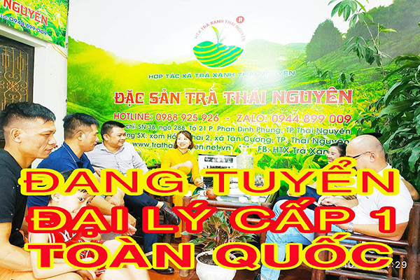 Danh sách các loại Chè Tân Cương Thái Nguyên
